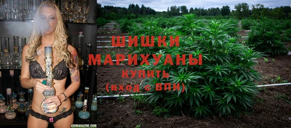 прущие грибы Тольятти