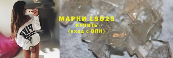 прущие грибы Тольятти