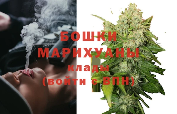прущие грибы Тольятти