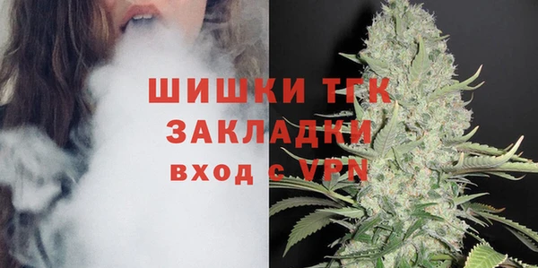прущие грибы Тольятти