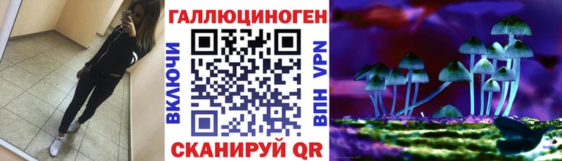 Галлюциногенные грибы Psilocybe Богучар