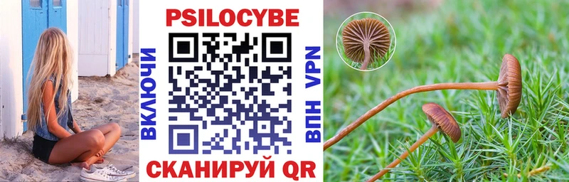 Галлюциногенные грибы мицелий  магазин продажи наркотиков  Богучар 